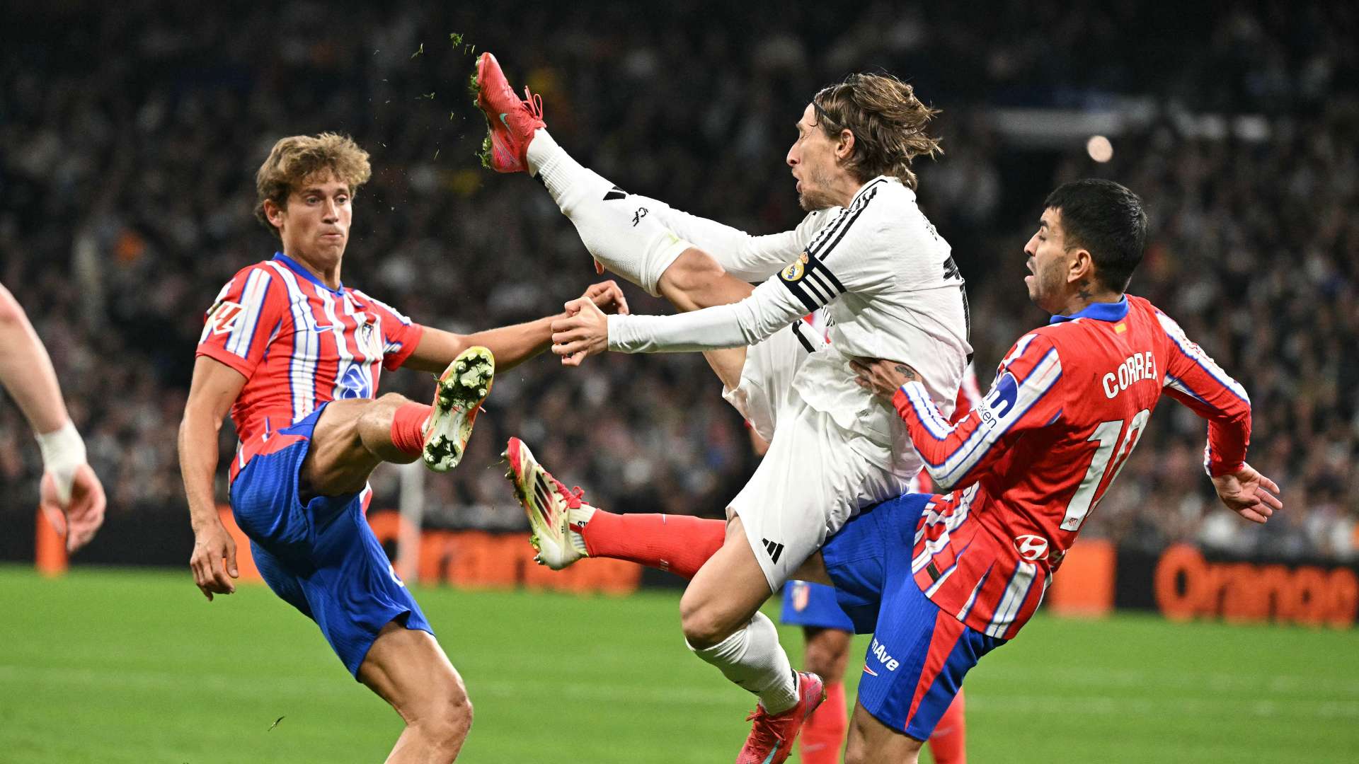 才能在世界 才能在世界